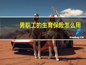 男职工的生育保险怎么用