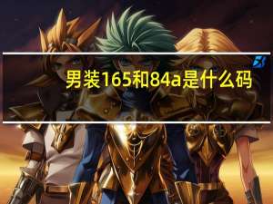 男装165和84a是什么码
