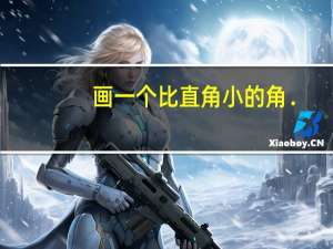 画一个比直角小的角．