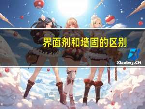 界面剂和墙固的区别