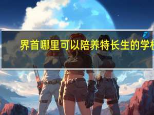 界首哪里可以陪养特长生的学校