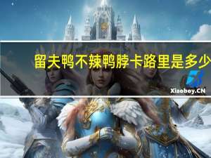留夫鸭 不辣鸭脖卡路里是多少