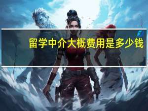 留学中介大概费用是多少钱