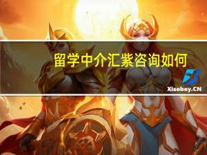 留学中介汇紫咨询如何