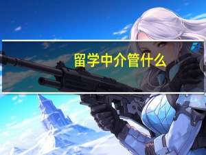 留学中介管什么