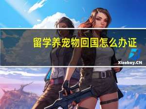 留学养宠物回国怎么办证