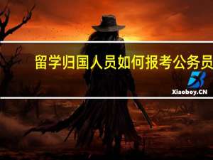留学归国人员如何报考公务员