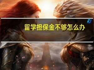 留学担保金不够怎么办