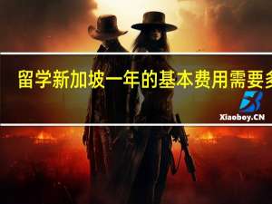 留学新加坡一年的基本费用需要多少