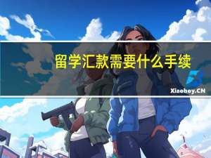 留学汇款需要什么手续