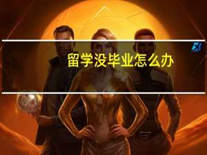 留学没毕业怎么办