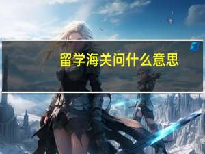 留学海关问什么意思