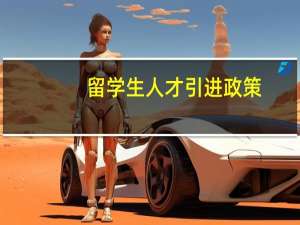 留学生人才引进政策