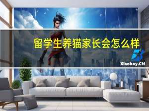 留学生养猫家长会怎么样