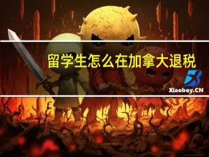 留学生怎么在加拿大退税