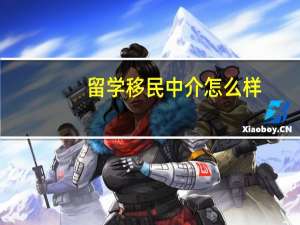 留学移民中介怎么样