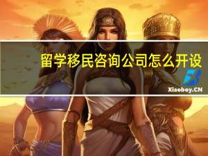 留学移民咨询公司怎么开设