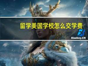 留学美国学校怎么交学费
