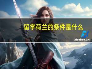 留学荷兰的条件是什么