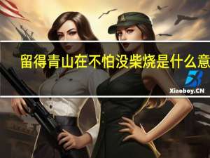 留得青山在不怕没柴烧是什么意思
