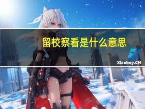 留校察看是什么意思