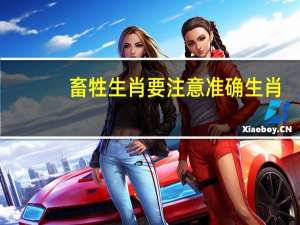 畜牲生肖要注意准确生肖_结论释义解释落实_主页版v246.060