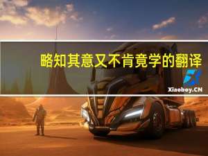 略知其意又不肯竟学的翻译