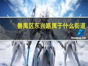 番禺区东兴路属于什么街道（东兴社区-广东省广州市番禺区市桥街道下辖社区简介）