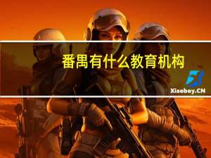 番禺有什么教育机构