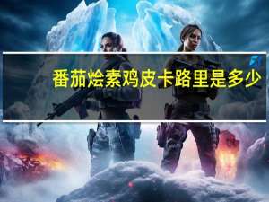 番茄烩素鸡皮卡路里是多少