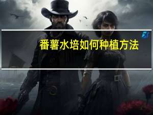 番薯水培如何种植方法