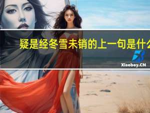 疑是经冬雪未销的上一句是什么