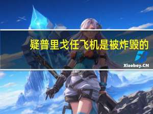 疑普里戈任飞机是被炸毁的？俄媒：网传照片显示残骸上疑有弹孔或与防空导弹有关