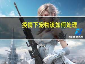 疫情下宠物该如何处理
