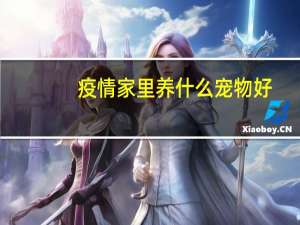 疫情家里养什么宠物好