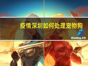 疫情深圳如何处理宠物狗