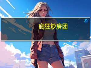 疯狂炒房团（疯狂炒作团）