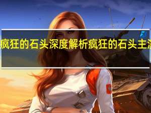 疯狂的石头深度解析 疯狂的石头主演是谁