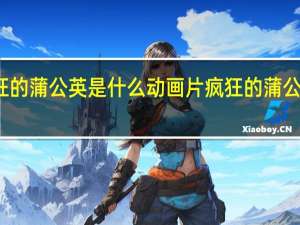 疯狂的蒲公英是什么动画片 疯狂的蒲公英动画片