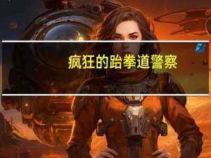 疯狂的跆拳道警察