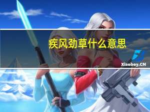 疾风劲草什么意思（疾风劲草）
