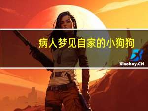 病人梦见自家的小狗狗