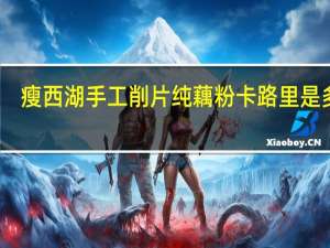 瘦西湖 手工削片纯藕粉卡路里是多少