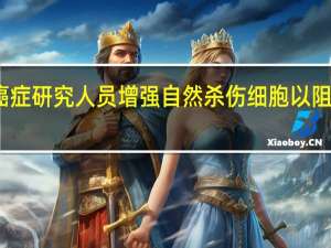 癌症研究人员增强自然杀伤细胞以阻止癌症