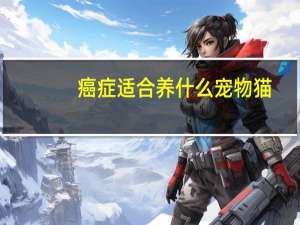 癌症适合养什么宠物猫