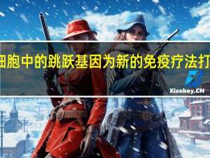 癌细胞中的跳跃基因为新的免疫疗法打开了大门
