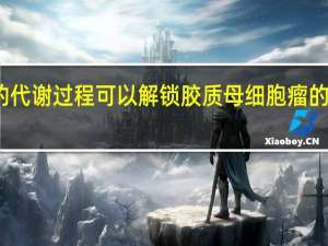 癌细胞的代谢过程可以解锁胶质母细胞瘤的可能治疗方法