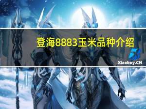 登海8883玉米品种介绍