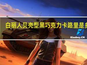 白丽人 贝壳型黑巧克力卡路里是多少