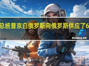 白俄罗斯总统卢卡申科告诉俄罗斯总统普京白俄罗斯向俄罗斯供应了6万吨柴油和6万吨汽油并准备增加供应量（国际文传电讯社）